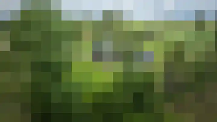 Hammerdijk 30 Blankenham thumbnail 70