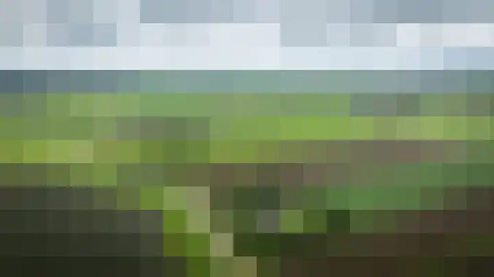Hammerdijk 30 Blankenham thumbnail 73
