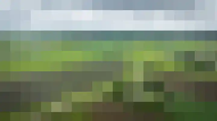 Hammerdijk 30 Blankenham thumbnail 74