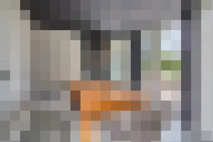 Hammerdijk 30 Blankenham thumbnail 8