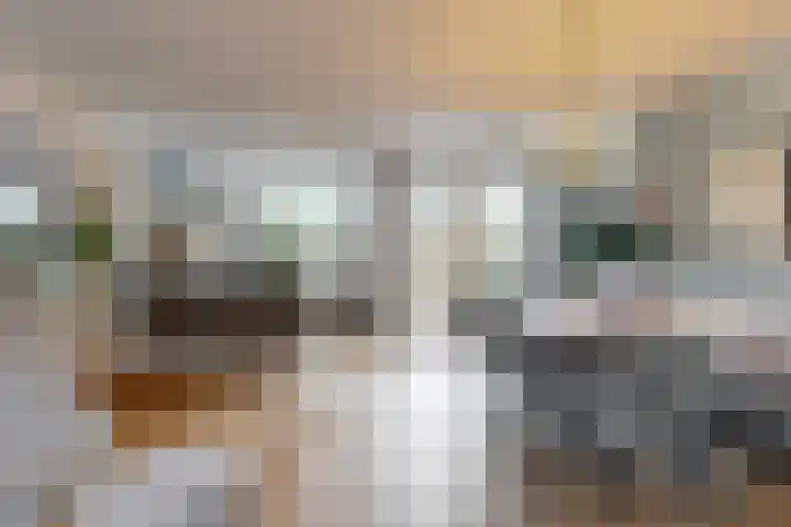 Hammerdreef 20 Maasland thumbnail 11