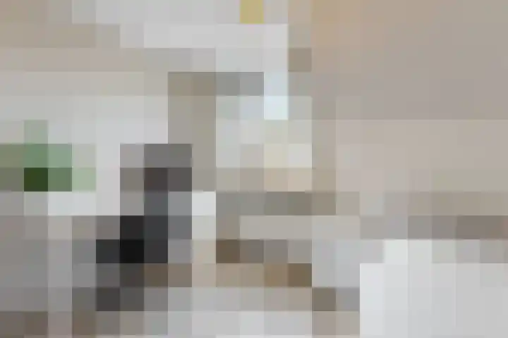 Hammerdreef 20 Maasland thumbnail 22