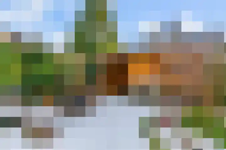 Hammerdreef 20 Maasland thumbnail 37