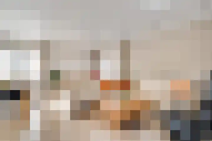 Hammermolen 20 Neer thumbnail 10