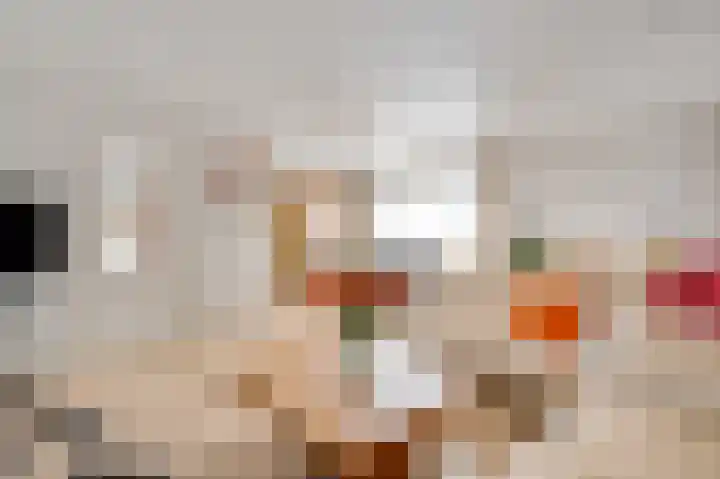 Hammermolen 20 Neer thumbnail 11