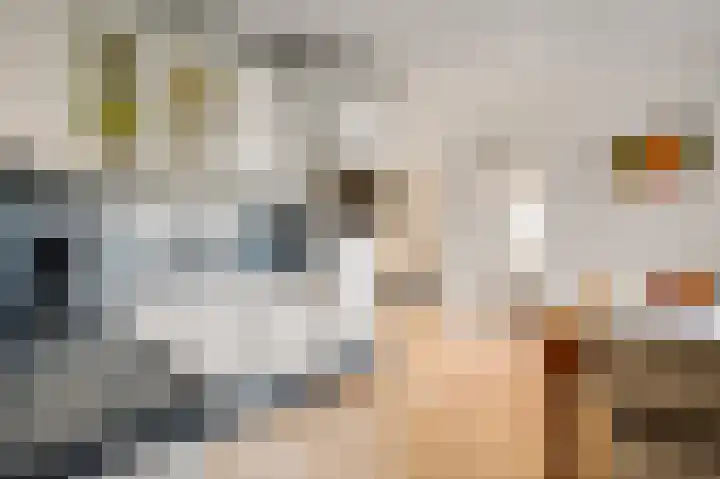 Hammermolen 20 Neer thumbnail 18