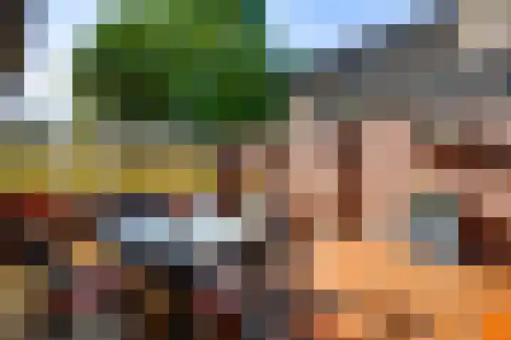 Hammermolen 20 Neer thumbnail 34