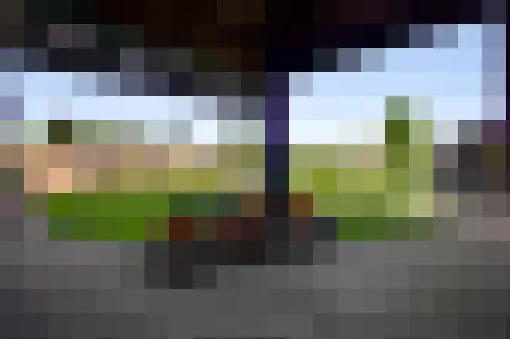 Hammermolen 20 Neer thumbnail 37