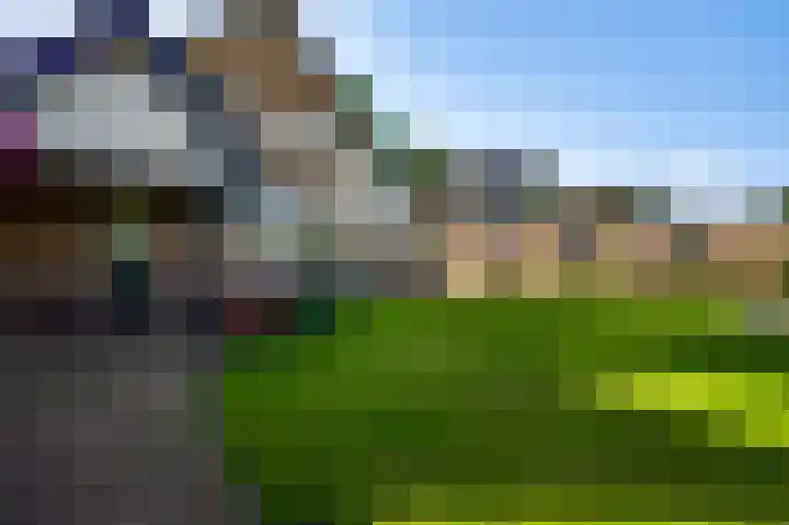 Hammermolen 20 Neer thumbnail 38
