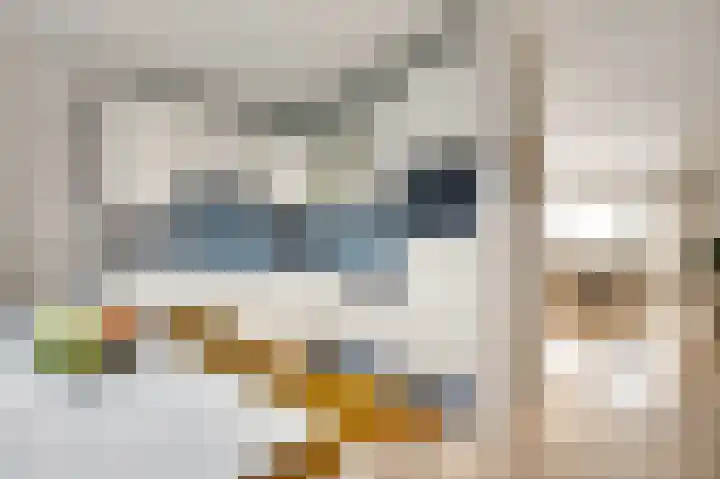 Hammermolen 20 Neer thumbnail 4