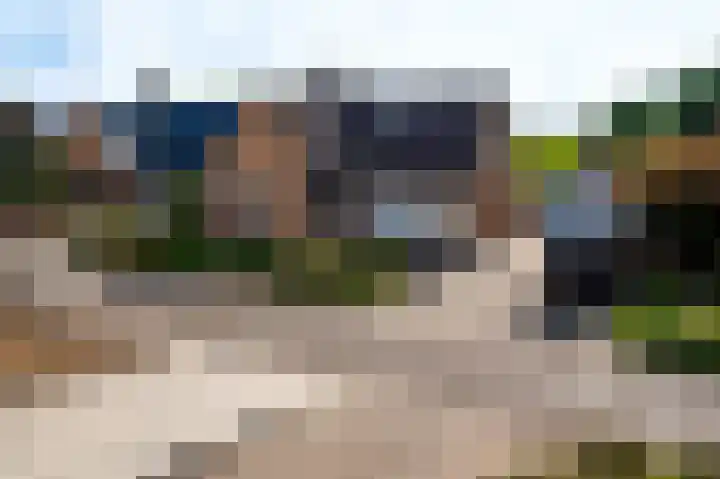 Hammermolen 20 Neer thumbnail 42