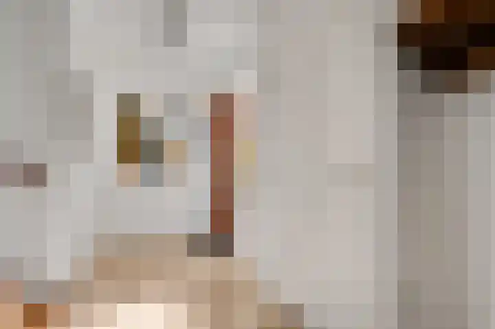 Hammermolen 20 Neer thumbnail 5