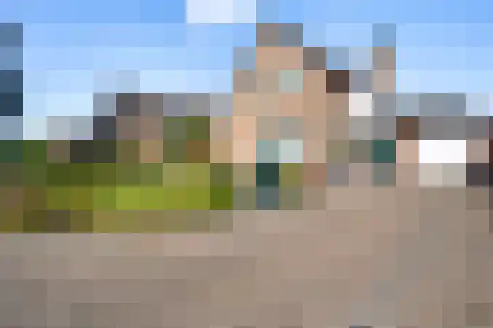 Hammermolen 20 Neer thumbnail 50
