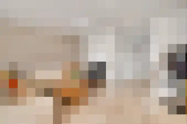Hammermolen 20 Neer thumbnail 9