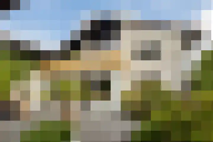Hamrik 51 Winsum thumbnail 44