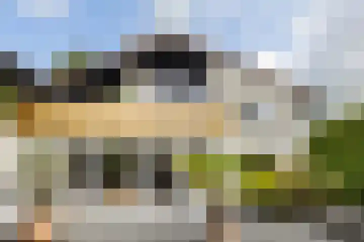 Hamrik 51 Winsum thumbnail 6