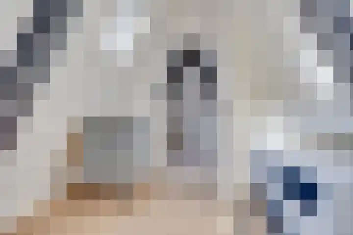 Hamsteeg 17 A Utrecht thumbnail 17