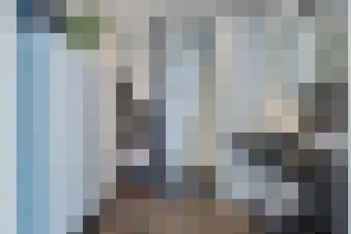 Hamsterstraat 4 Helmond thumbnail 25