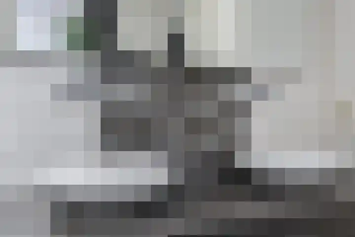 Hamsterstraat 4 Helmond thumbnail 28