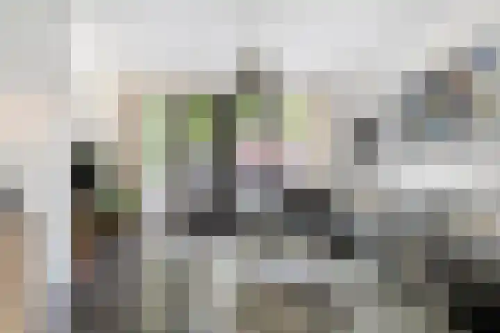Hamsterstraat 8 Helmond thumbnail 12