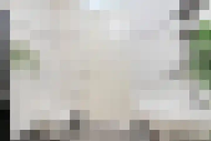 Hamsterstraat 8 Helmond thumbnail 27
