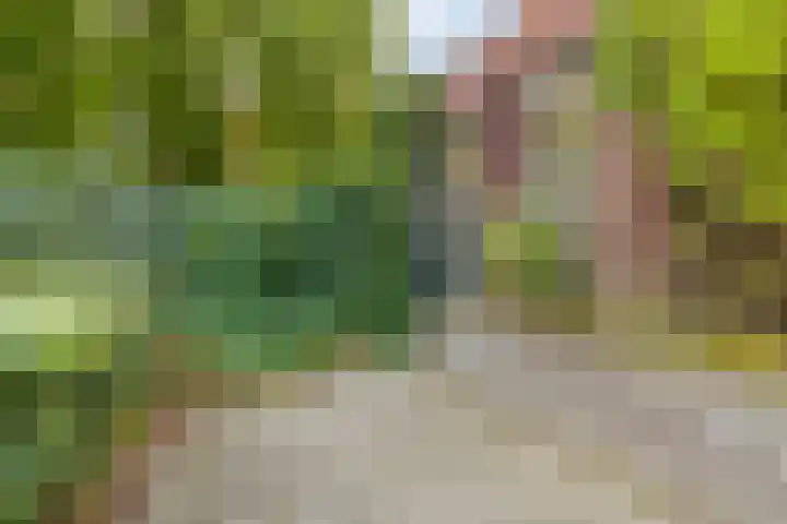 Hamsterstraat 8 Helmond thumbnail 48