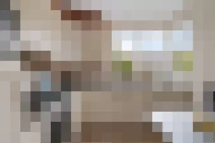 Hamwijck 45 Boskoop thumbnail 13