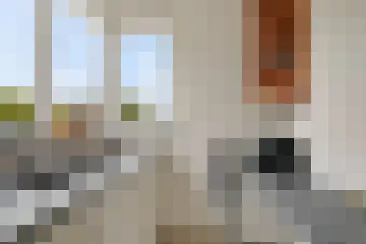Hamwijck 45 Boskoop thumbnail 16