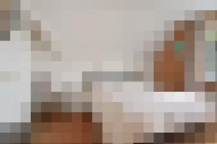 Hamwijck 45 Boskoop thumbnail 22