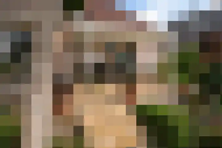 Hamwijck 45 Boskoop thumbnail 36