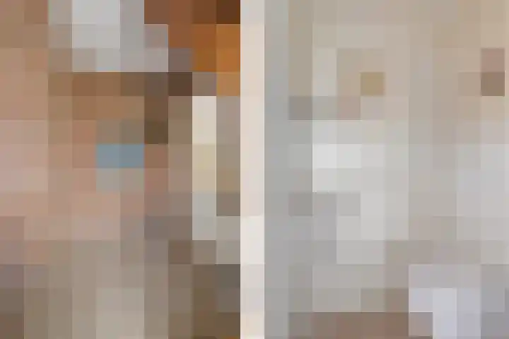 Hamwijck 45 Boskoop thumbnail 4