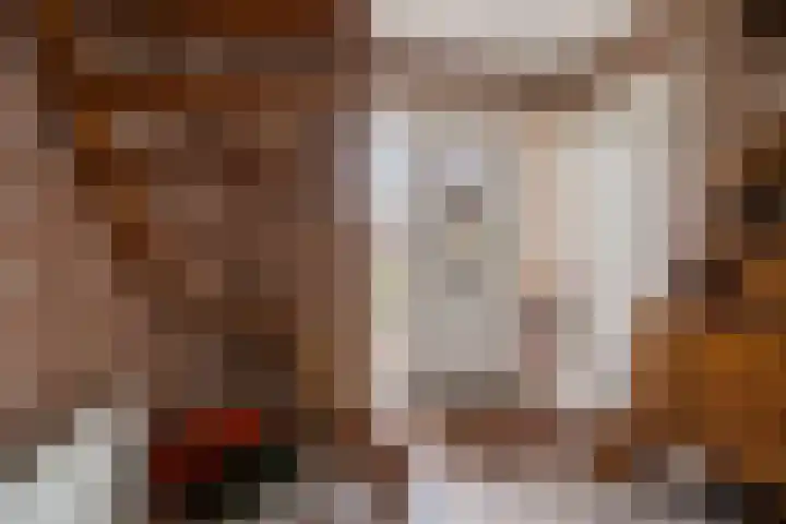 Hamwijck 45 Boskoop thumbnail 5