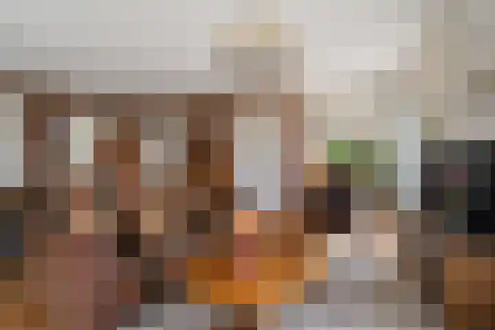 Hamwijck 45 Boskoop thumbnail 6