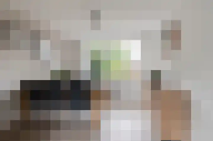 Händellaan 11 Culemborg thumbnail 13