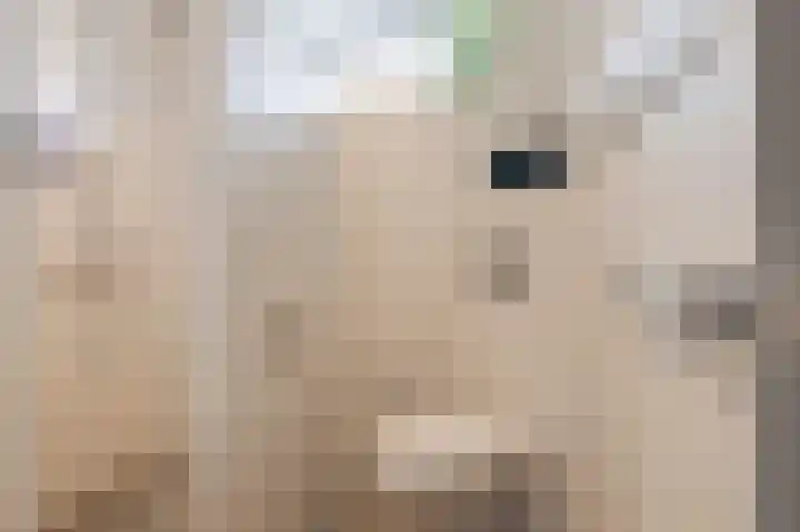 Händellaan 11 Culemborg thumbnail 26