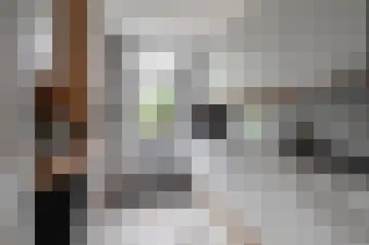 Händellaan 11 Culemborg thumbnail 4