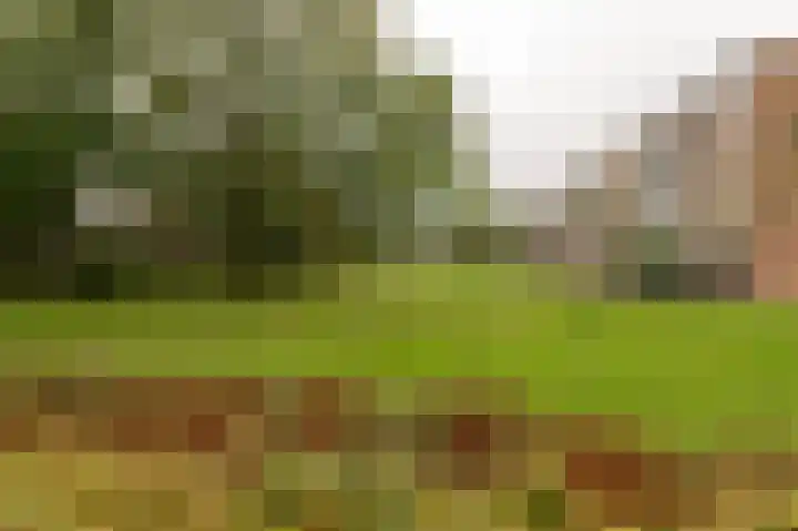 Händellaan 11 Culemborg thumbnail 40