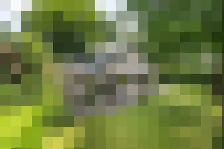 Händellaan 16 Bilthoven