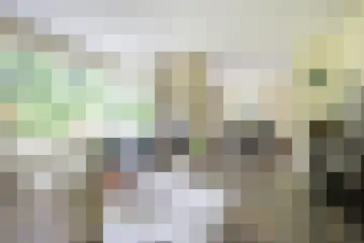 Händellaan 16 Bilthoven thumbnail 12