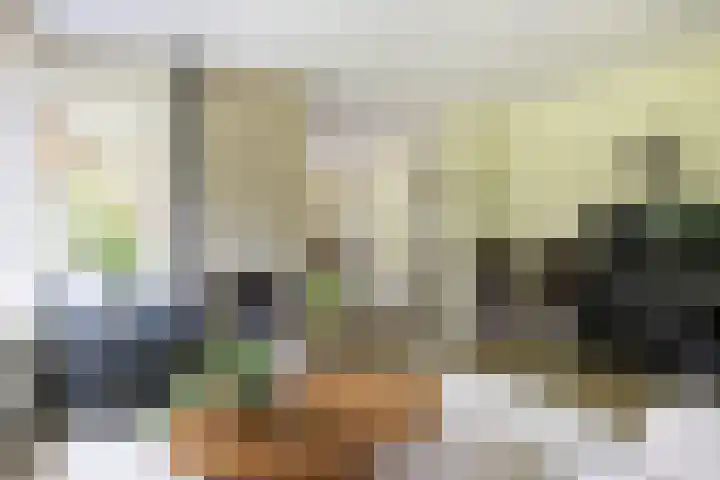 Händellaan 16 Bilthoven thumbnail 13