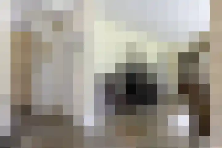 Händellaan 16 Bilthoven thumbnail 17