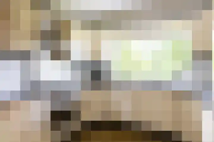 Händellaan 16 Bilthoven thumbnail 19