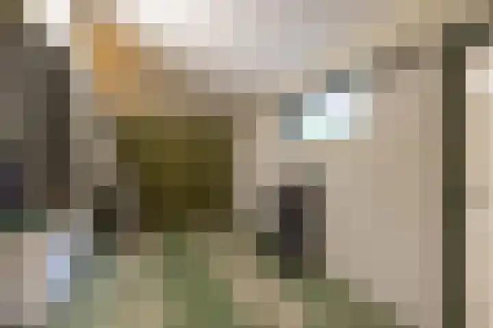 Händellaan 16 Bilthoven thumbnail 36