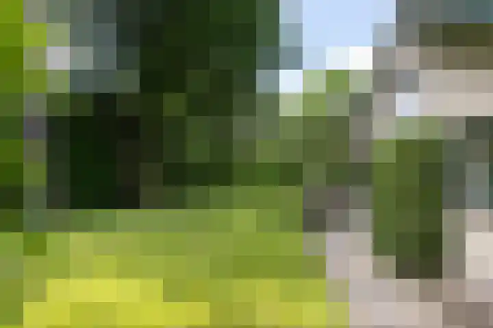 Händellaan 16 Bilthoven thumbnail 38