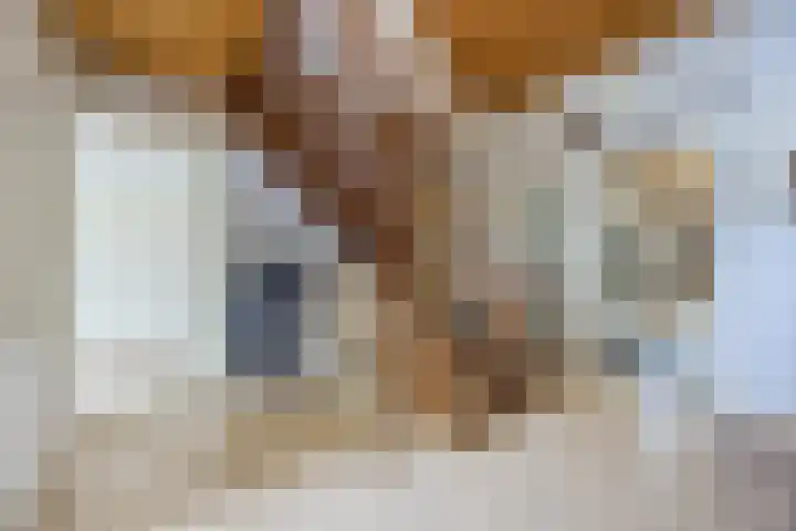 Händellaan 16 Bilthoven thumbnail 42