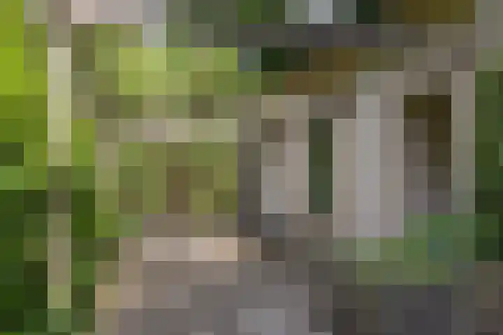 Händellaan 16 Bilthoven thumbnail 46