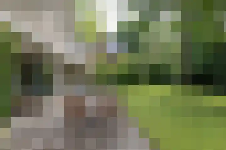 Händellaan 16 Bilthoven thumbnail 47