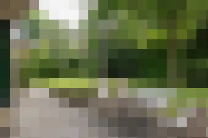 Händellaan 16 Bilthoven thumbnail 49