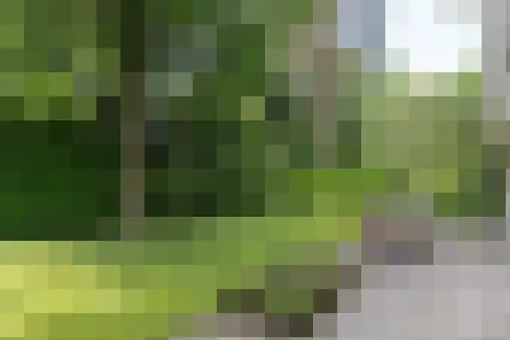 Händellaan 16 Bilthoven thumbnail 50
