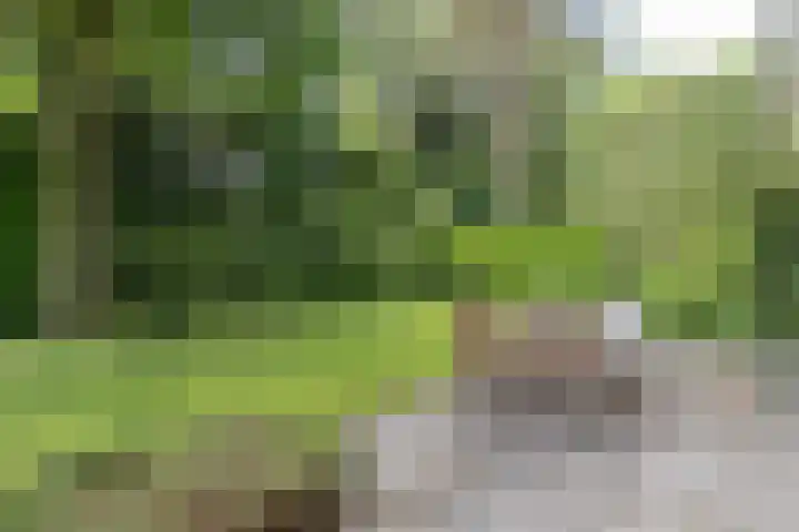 Händellaan 16 Bilthoven thumbnail 51